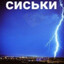 пивная заводь