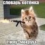 Анлак Успехов