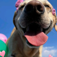 格罗夫街突破手CJ