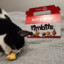 Cat eating TimBits