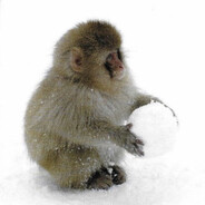 василиска киска - steam id 76561199802989626