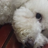 一朝春夏改，💋