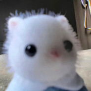 Vor