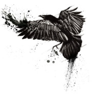 ✪Ectobird - steam id 76561198136956057