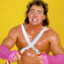 Brutus &quot;The Barber&quot; Beefcake