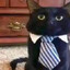 dapper young gentleman
