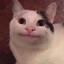 MINImeaw