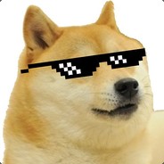 ✺$$$ Master Doge $$$✺