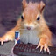 SquirrelHurl