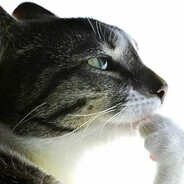 ПРОСТИ _ЧТО_УБИЛ