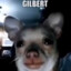 Gilbert