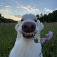 Charles LeKirk - steam id 76561199849967670