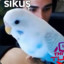 soqus3152