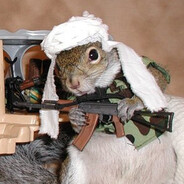 Squirrel Thunder