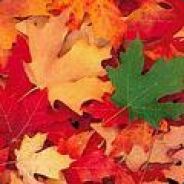 胜者为王     败者暖床