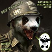 Panda-Z