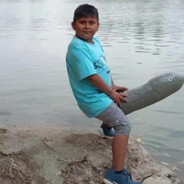 他们在吃狗他们在吃猫