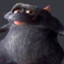 Rat