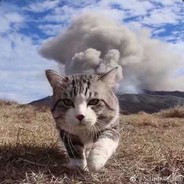 少年已不在年少