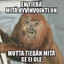 Hiekkis