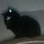 Blackcat