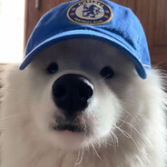 zyko