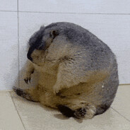 PlushyIRL