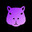 Capivara 1337