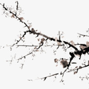 乘风鸟与亚麻花