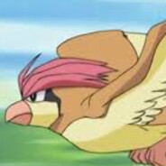 Pidgeotto