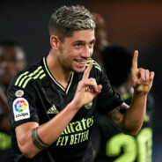 坐在高树上仰望拉格朗