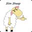 Slim Sheep