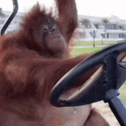 Lisanbragg [S.P.Q.R]