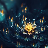 Vipekoi