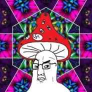 北美节度使乐邦詹牧思