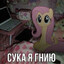c1wnd