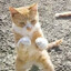 Skykick