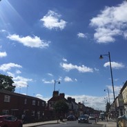 回到过去变成猫