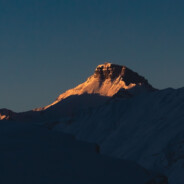 安欣警官也想吃鱼