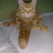 ( •̀ ω •́ )✧