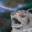 Space Bear