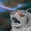 Space Bear