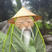 Master Meow