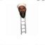 Osama Bin Ladder