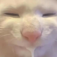 我要把你们豆沙啦！