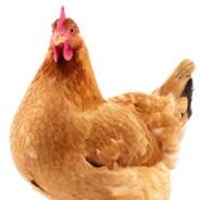 圣剑？大海无量forgive