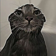 Дикий батя андрея