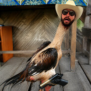 Andrew Chiken