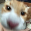大足の犬 ੯‧̀͡u\.