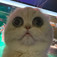 черепушка Steam avatar